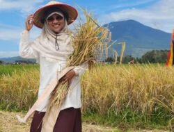 Hilirisasi Pertanian: Investasi Jangka Panjang Menuju Kemandirian Pangan