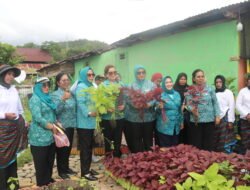 Dasawisma Jadi Inspirasi: Lomba 10 Program PKK Tingkat Provinsi Maluku Soroti Inovasi Ketahanan Pangan di SBB