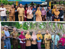 Saadiah Uluputty Dukung Pengembangan Cengkeh Hutan Unggul di SBB untuk Kejayaan Rempah Maluku