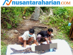 Warga Pelita Jaya, SBB Ditemukan Meninggal di Kebun Kelapa Setelah 20 Hari Hilang