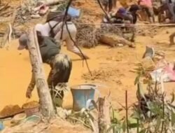 Kadishut Kalteng Angkat Bicara Terkait Aktivitas Tambang Ilegal di Hutan Adat Daerah Gunung Mas