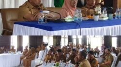 Sinergi Pusat dan Daerah: Saadiah Uluputty dan Pemkab SBT Bahas Pembangunan Infrastruktur