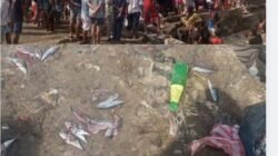 Ikan Dihancurkan, Harga Diri Diinjak! Oknum Satpol PP Ambon Tega Tendang Rezeki Pedagang Kecil di Pantai Mardika
